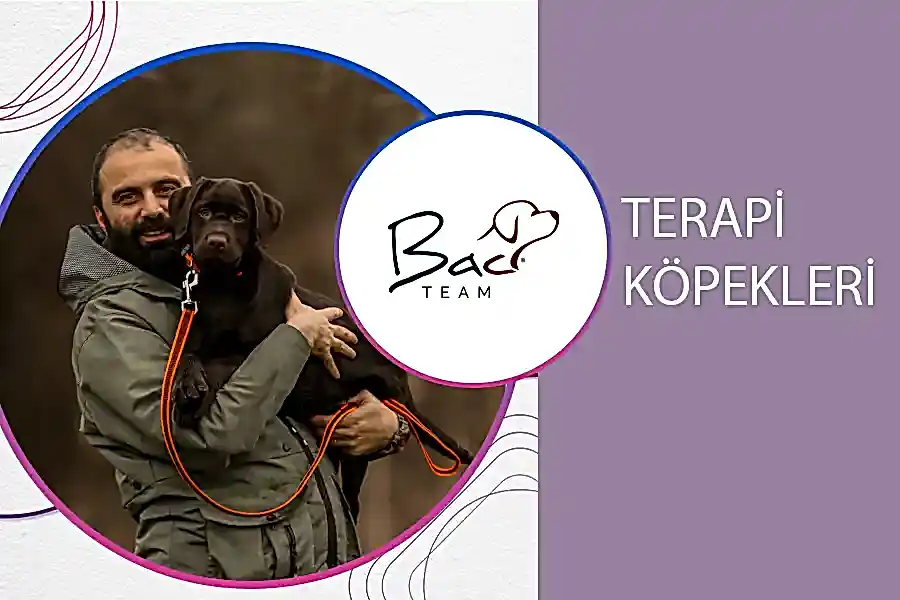 Terapi Köpekleri