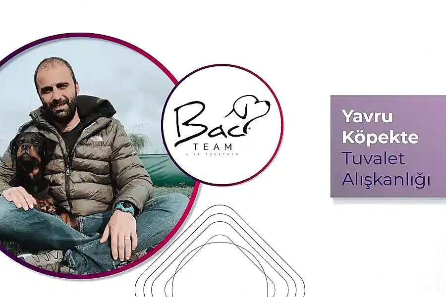 Yavru Köpekte Tuvalet Alışkanlığı
